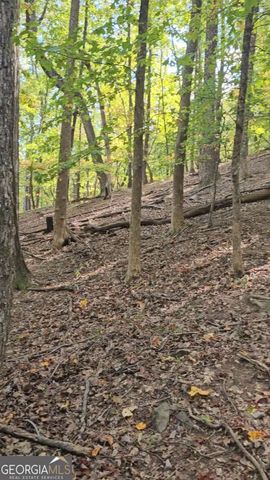 315 Windflower Drive, Big Canoe, GA 30143