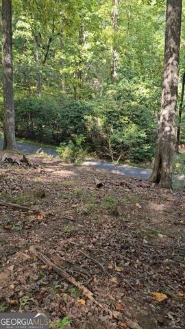 315 Windflower Drive, Big Canoe, GA 30143