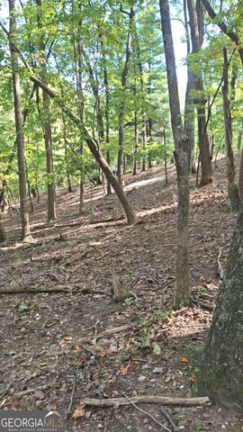 315 Windflower Drive, Big Canoe, GA 30143