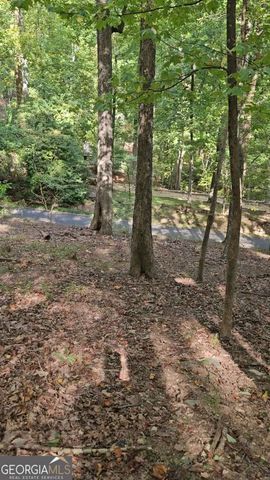 315 Windflower Drive, Big Canoe, GA 30143