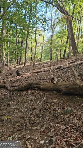 315 Windflower Drive, Big Canoe, GA 30143