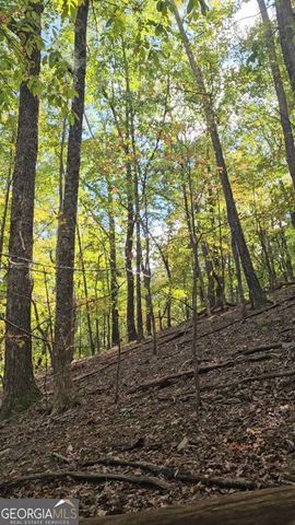 315 Windflower Drive, Big Canoe, GA 30143