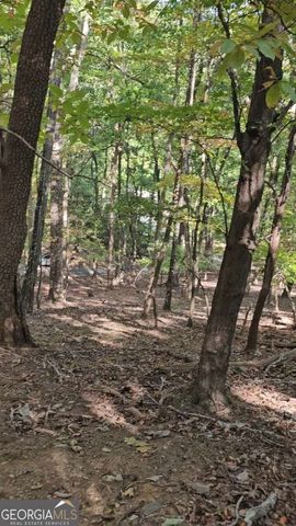 315 Windflower Drive, Big Canoe, GA 30143