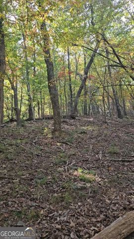 315 Windflower Drive, Big Canoe, GA 30143