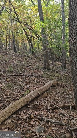 315 Windflower Drive, Big Canoe, GA 30143