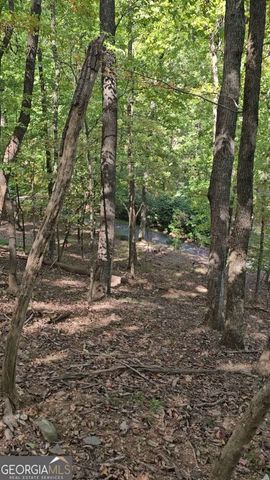 315 Windflower Drive, Big Canoe, GA 30143