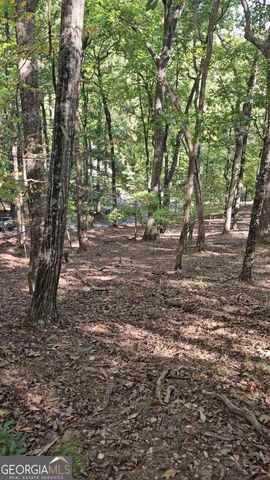 315 Windflower Drive, Big Canoe, GA 30143