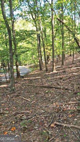 315 Windflower Drive, Big Canoe, GA 30143