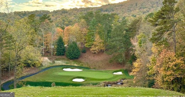 315 Windflower Drive, Big Canoe, GA 30143