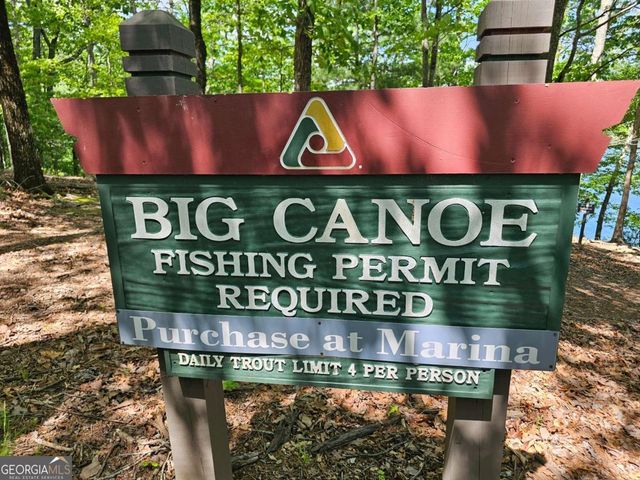 315 Windflower Drive, Big Canoe, GA 30143