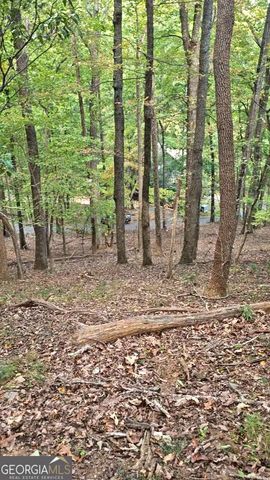 315 Windflower Drive, Big Canoe, GA 30143