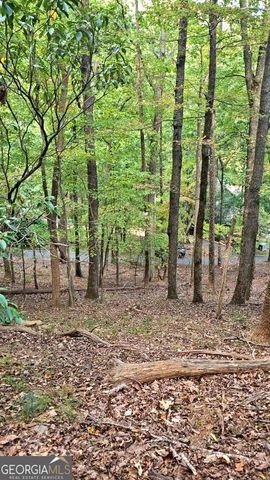 315 Windflower Drive, Big Canoe, GA 30143