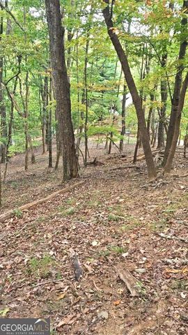 315 Windflower Drive, Big Canoe, GA 30143