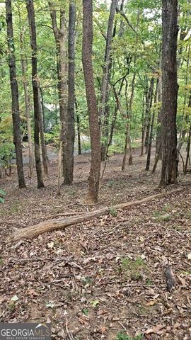 315 Windflower Drive, Big Canoe, GA 30143