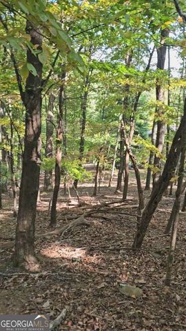 315 Windflower Drive, Big Canoe, GA 30143