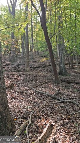 315 Windflower Drive, Big Canoe, GA 30143