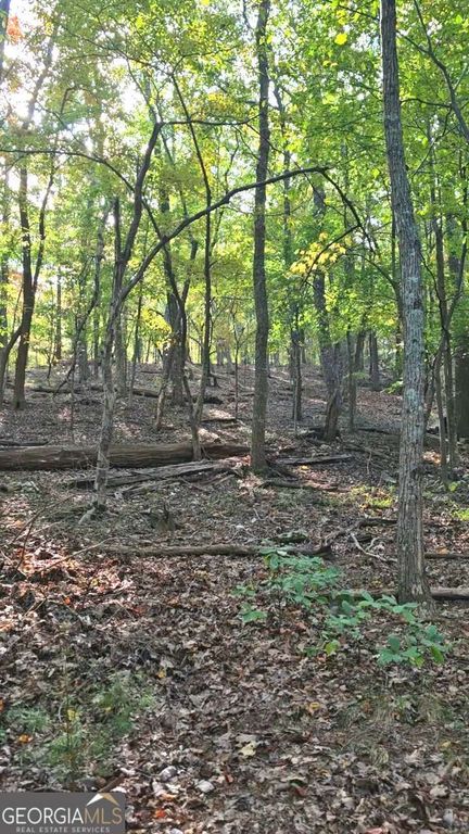 315 Windflower Drive, Big Canoe, GA 30143