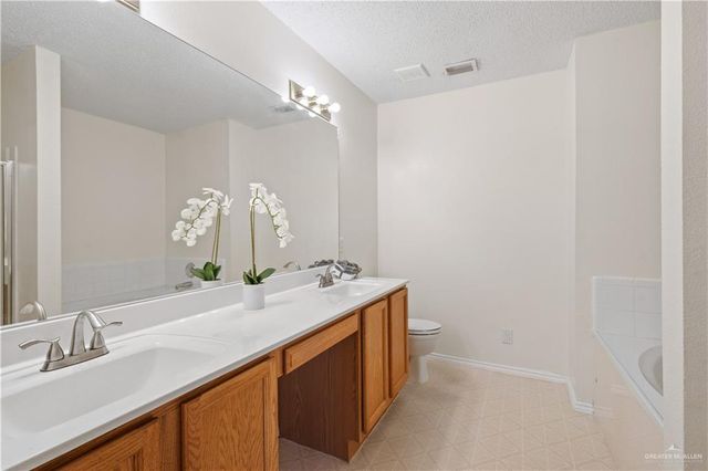 4203 San Esteban Court, Mission, TX 78572