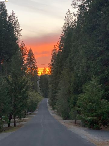 2119 Silverado Way, Arnold, CA 95223