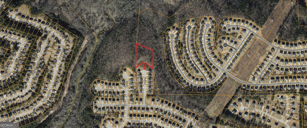 0 Haley Lane, Hampton, GA 30228