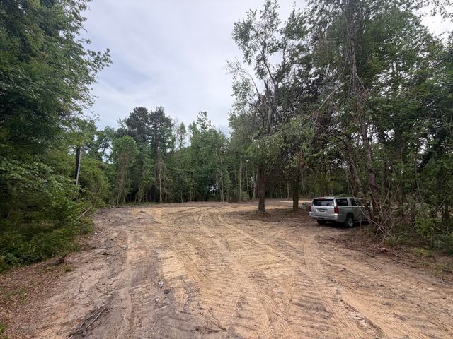 348 Blue Bird Trail Trail Lot 1a-2, Saint George, SC 29477