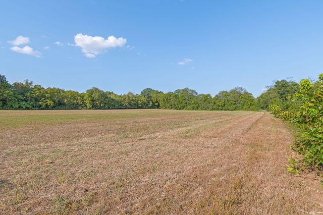 0 Craig Bridge Road, Williamsport, TN 38487