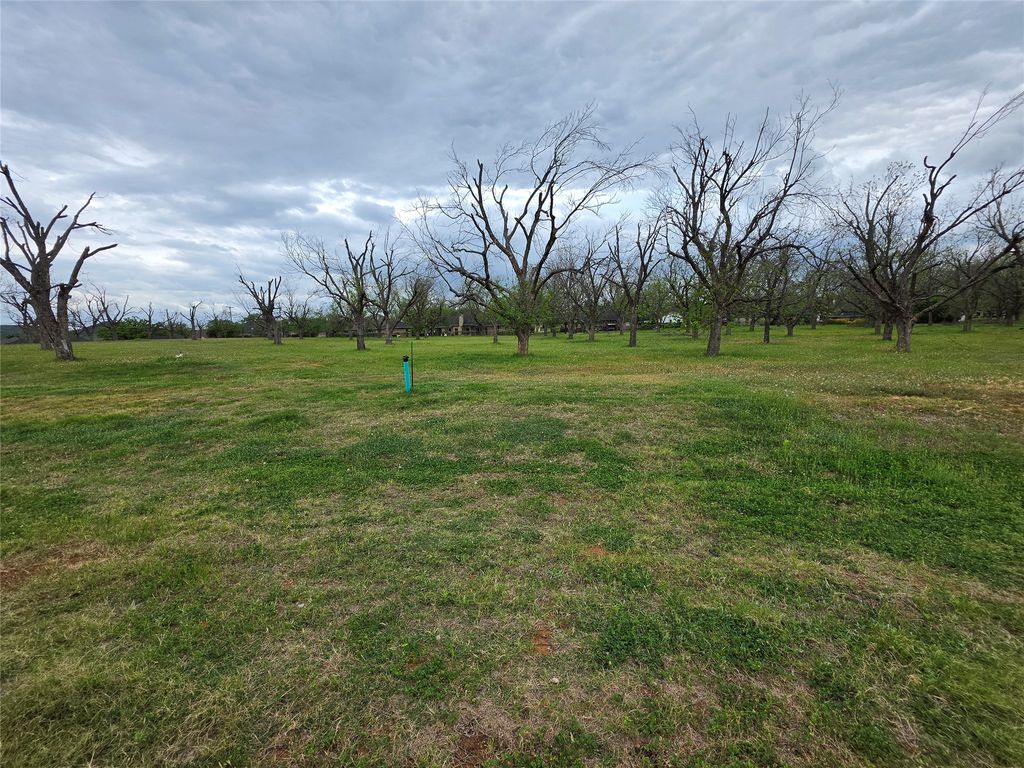 8421 W Landings Road, Granbury, TX 76049