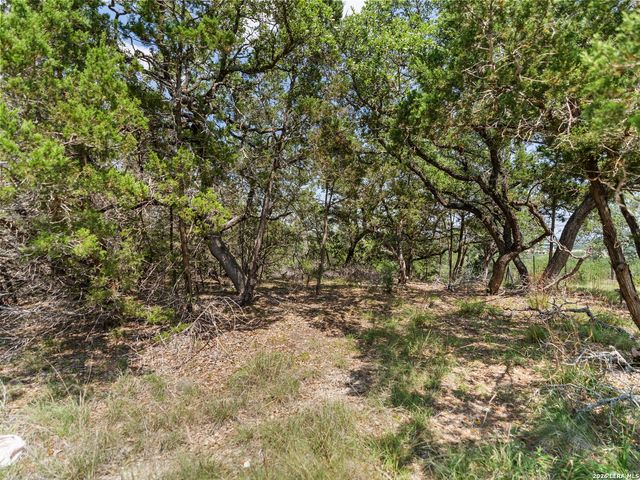 242 Ridge PT, Spring Branch, TX 78070