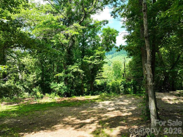 99999 Chunns Cove Road, Asheville, NC 28805