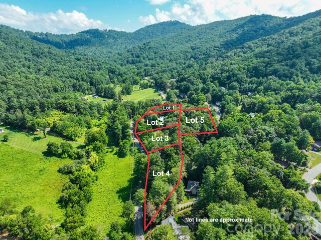 99999 Chunns Cove Road, Asheville, NC 28805