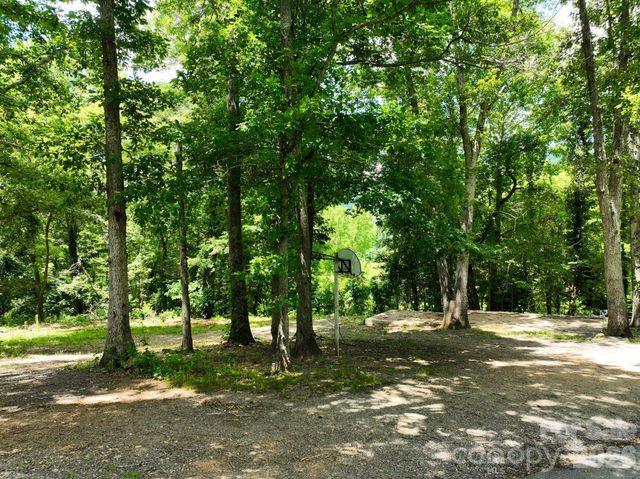 99999 Chunns Cove Road, Asheville, NC 28805