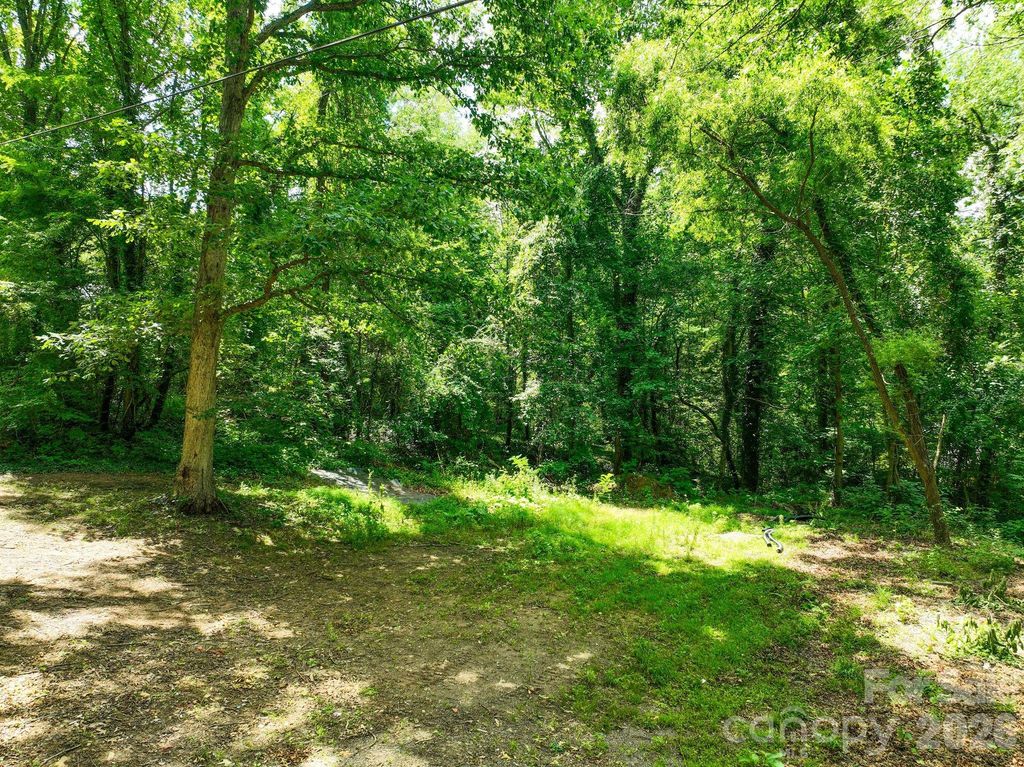 99999 Chunns Cove Road, Asheville, NC 28805