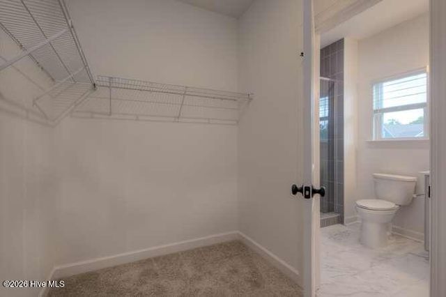 390 Lamer Loop 101, Shallotte, NC 28470