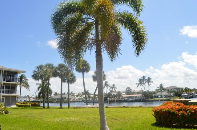 745 SE 19th Avenue 114, Deerfield Beach, FL 33441