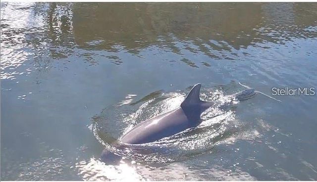 3 PARADISE LANE, Treasure Island, FL 33706