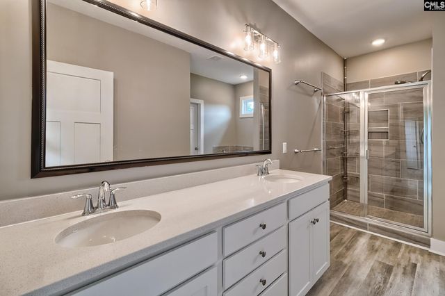 424 Lombard Way, Chapin, SC 29036