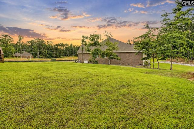 424 Lombard Way, Chapin, SC 29036
