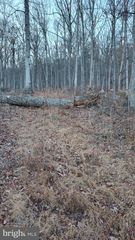 DOVE DRIVE, Paw Paw, WV 25434