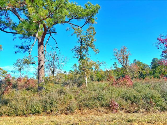 TBD Fm 2022, Grapeland, TX 75844