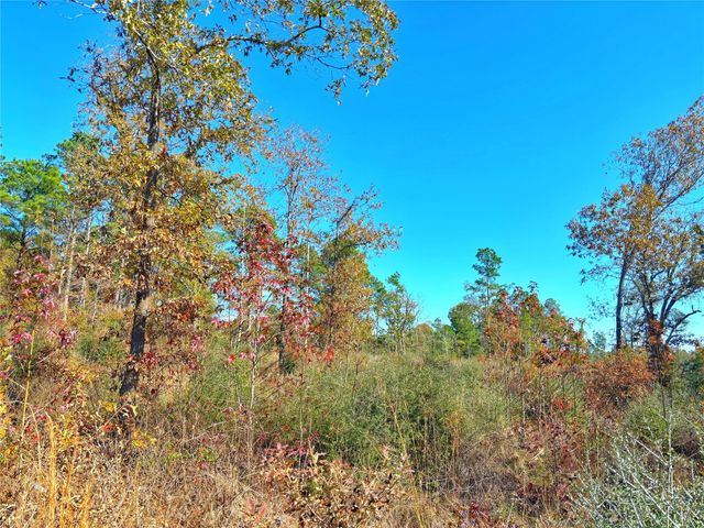 TBD Fm 2022, Grapeland, TX 75844