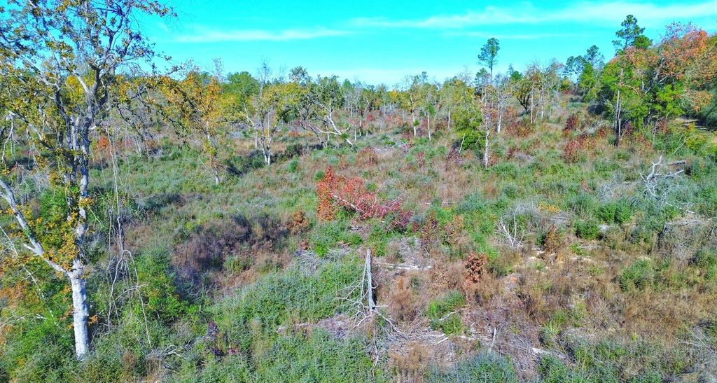 TBD Fm 2022, Grapeland, TX 75844