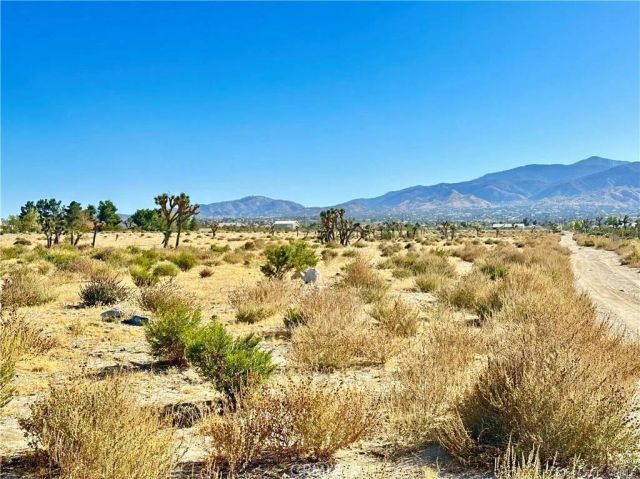 12025 Primavera, Pinon Hills, CA 92372