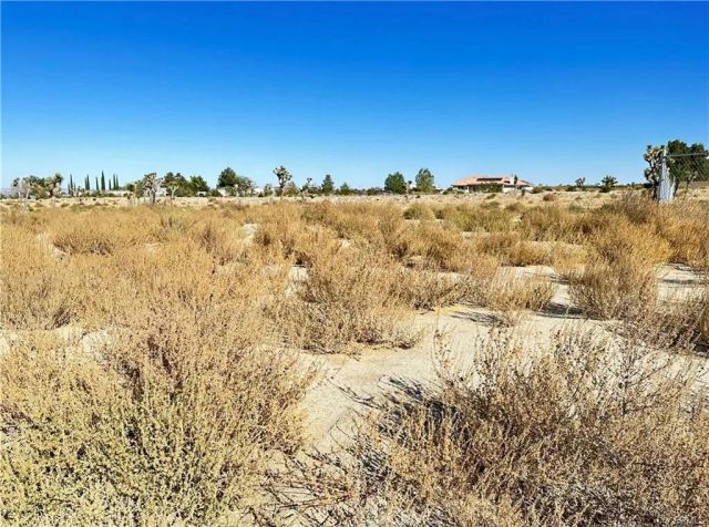 12025 Primavera, Pinon Hills, CA 92372