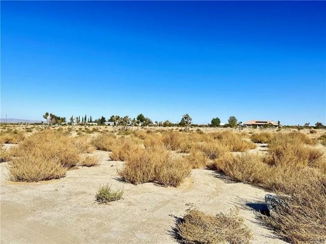 12025 Primavera, Pinon Hills, CA 92372
