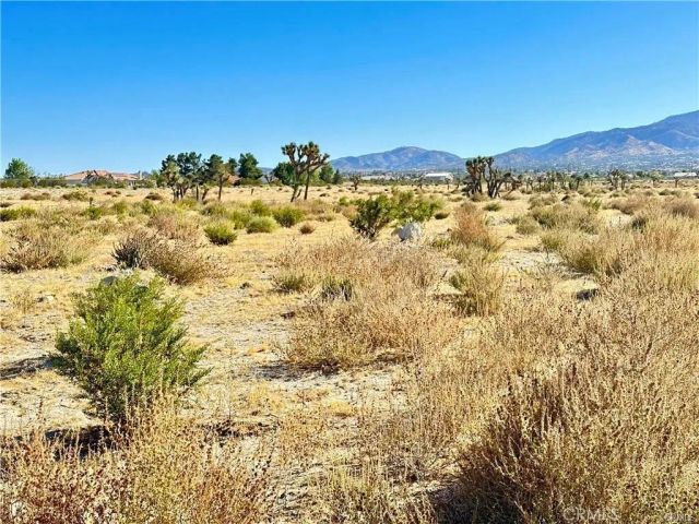12025 Primavera, Pinon Hills, CA 92372