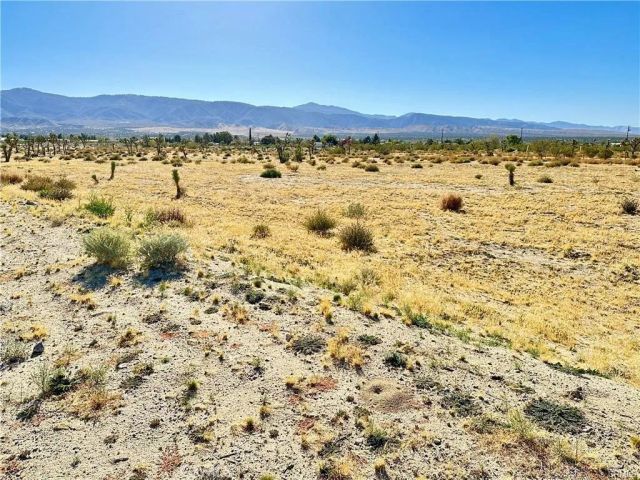 12025 Primavera, Pinon Hills, CA 92372