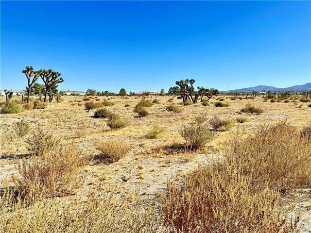 12025 Primavera, Pinon Hills, CA 92372
