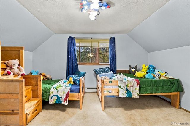 237 Road B, Pine, CO 80470