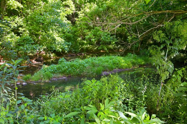 115 River Run Court, Georgetown, KY 40324
