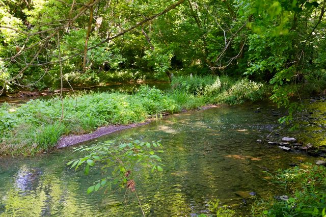 115 River Run Court, Georgetown, KY 40324